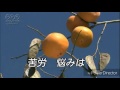 男の人生