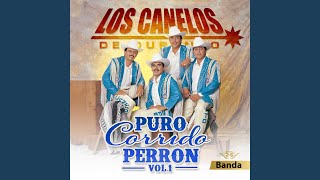 Video thumbnail of "Los Canelos de Durango - Chuy y Mauricio"