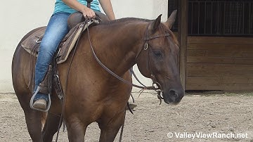 Highbrow Flintbox***For info, price, etc., go to our website*** Valley View Ranch