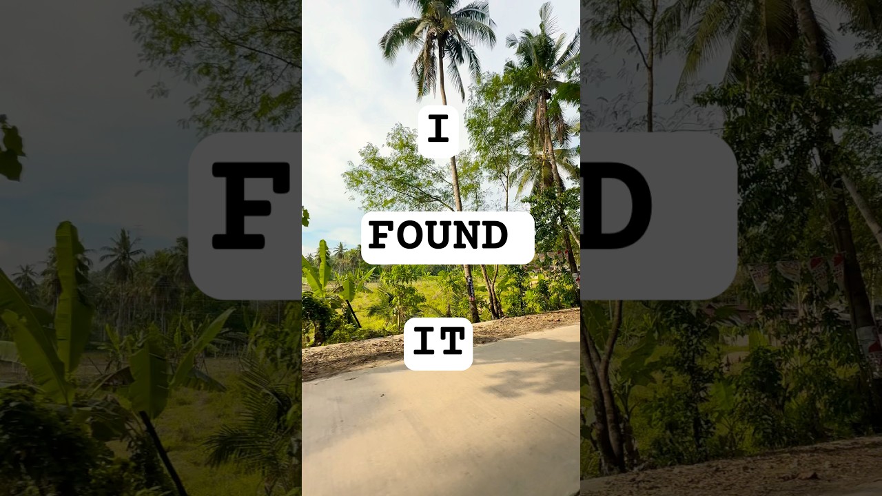 ☮️ #music #travel #cebu #moalboal #nature #adventure #travelvlog #shorts #asmr #howto #solotravel