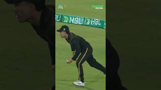 Maxwell gets Haider Ali👊 Safe hands by Maaz! #HBLPSL11 | #tapmad | PSL26 #Shorts