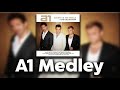 A1 medley by a1   hq audio