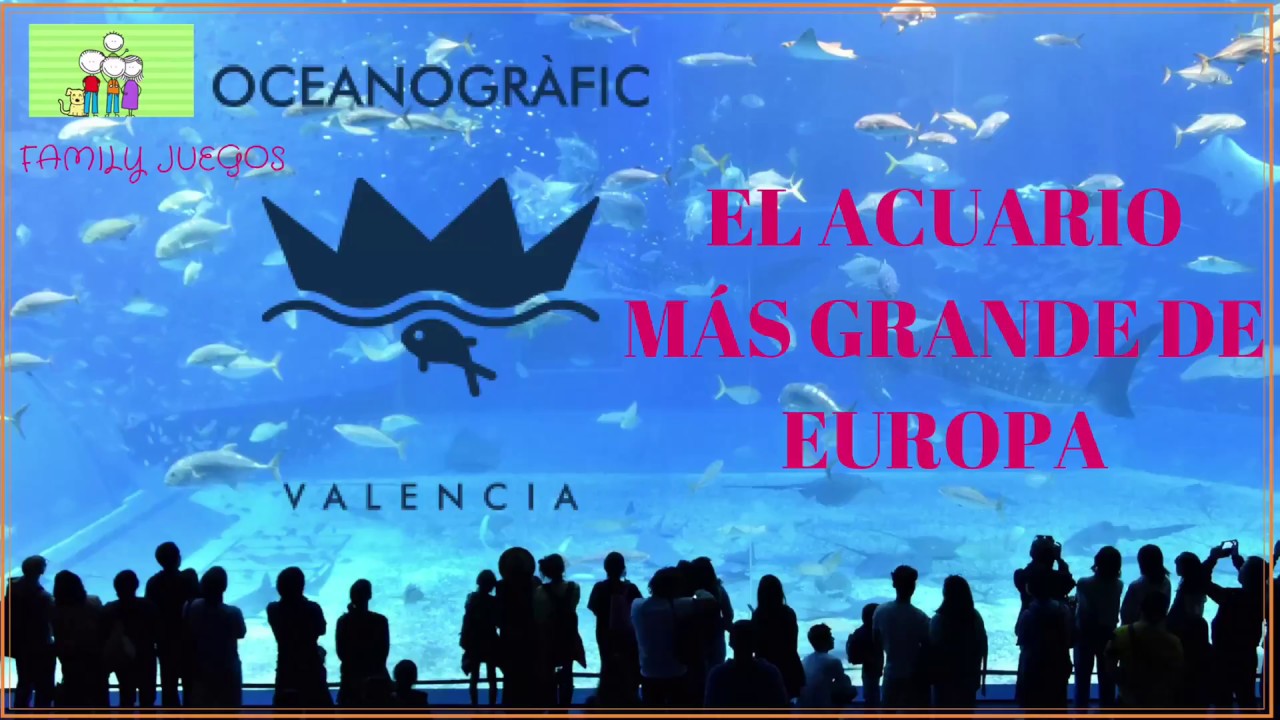 El acuario más grande de Europa: Oceanografic (vlog) - YouTube