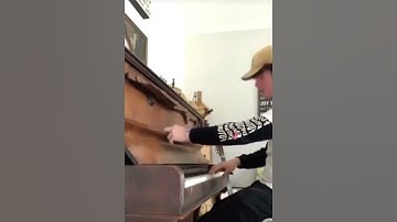 pia*NO* r/perfectlycutscreams/