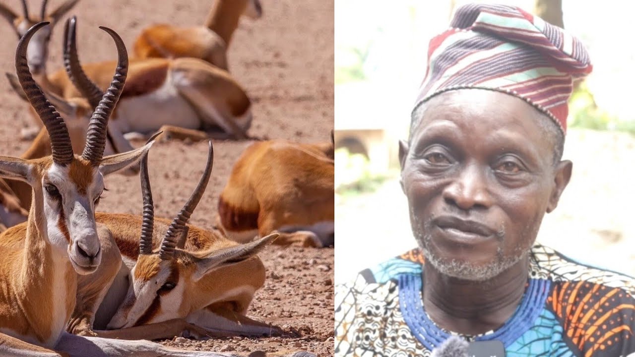 #AGBARA ILE YORUBA,IRIRI MI LOJO TI MO BA EGBERE PADE...