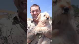 How we rescued nine dogs ❤️🥹🐕