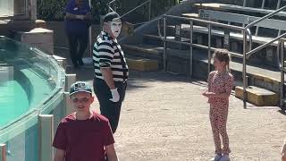 Tom Funny Mime at Seaworld (SEA LION & OTTER SPOTLIGHT PRESHOW)