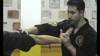 Combat Hapkido 9