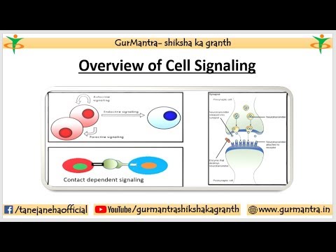 OVERVIEW OF CELL SIGNALING | TYPES OF CELL SIGNALING PATHWAYS| EXAMPLES ...