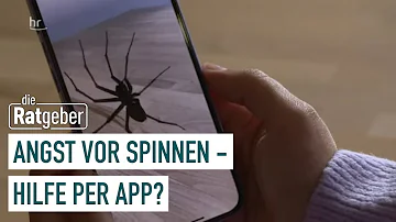 Wie bekommt man die Angst vor Spinnen weg?