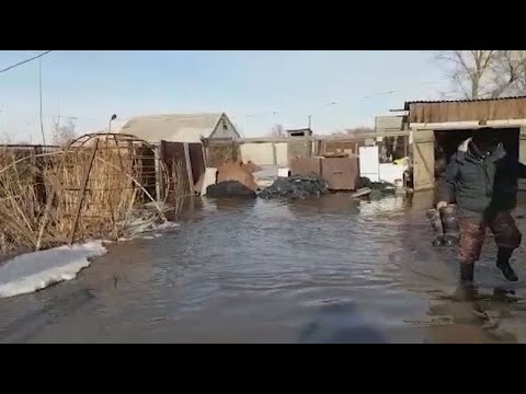 Село затопило в Павлодарской области