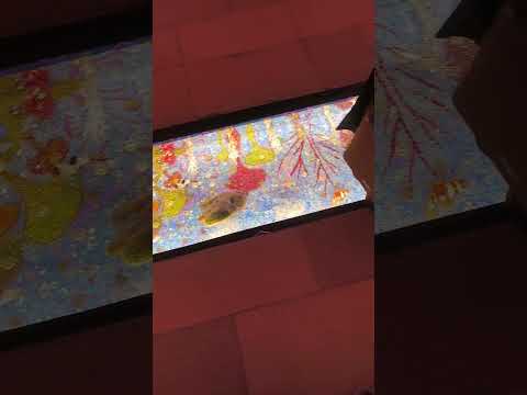 Qatar Walkway At Gewan Lsland Doha Comedy Funny Jokes