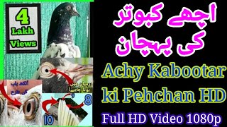 Achay Kabootar ki pehchan Full HD video 1080p || #Bilalliaqat 00447510496829