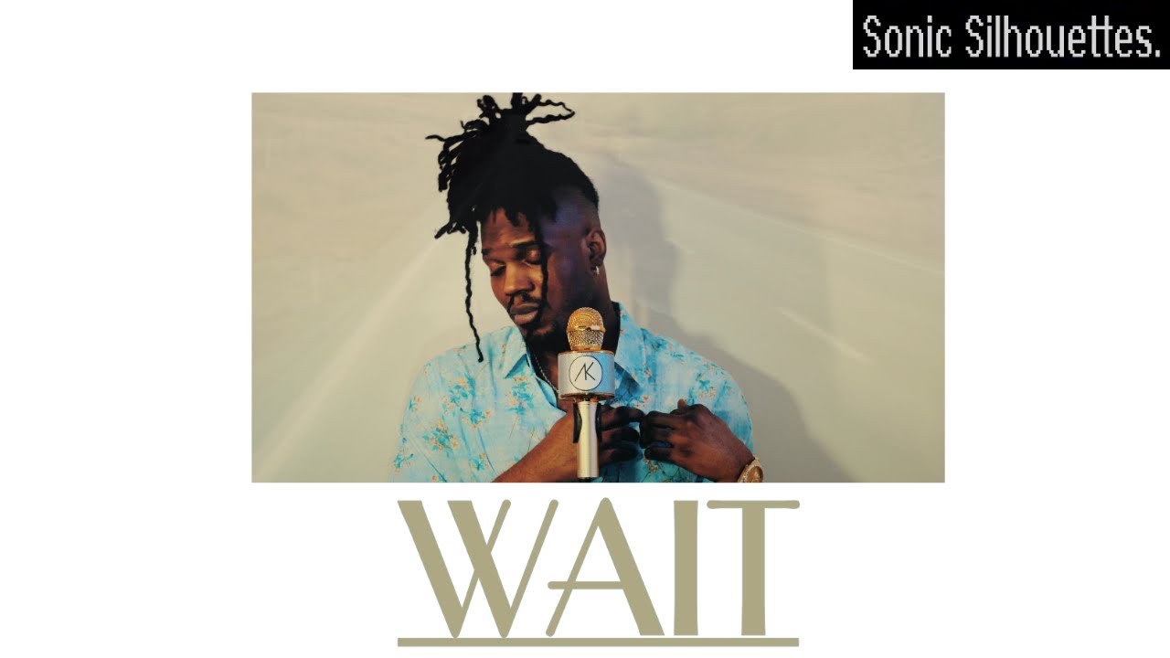 Watch Anthiny King - Sonic Silhouettes S2:E16 | WAIT on YouTube Watch Anthiny King - Sonic Silhouettes S2:E16 | WAIT on YouTube