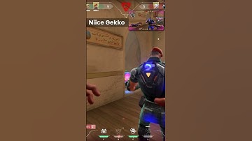 Nice Gekko and Brim Valortant Short #shorts  #valorant  #viralvideo  #trending