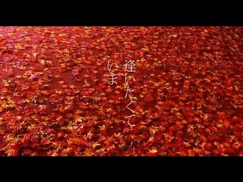 25.インドでトランペットを吹くということ～逢いたくていま