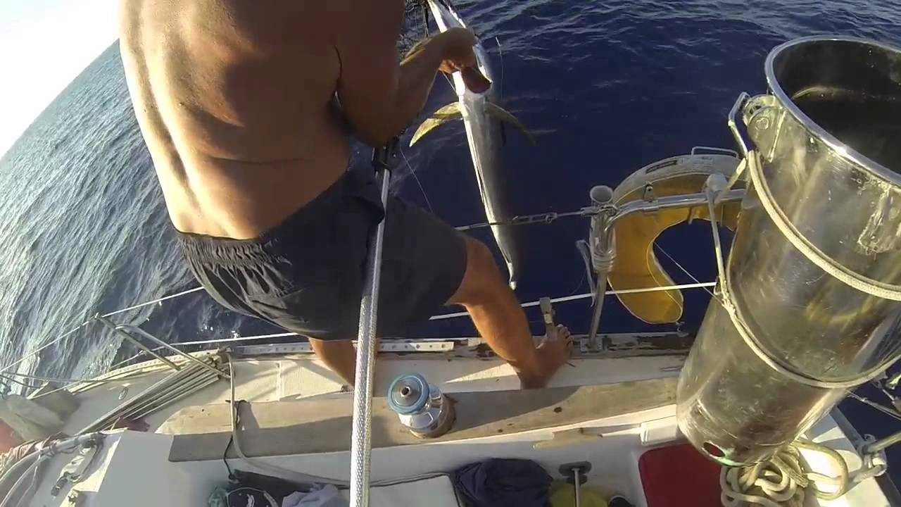 ⁣Ocean Fishing on sailboat. Океанская рыбалка у берегов Кубы!