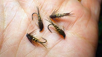 Tying a Gold Ribbed Olive Hare