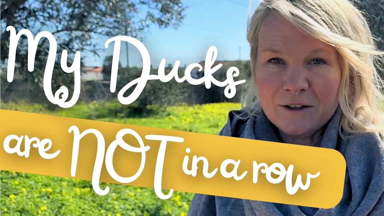 Freedom From Conditioning (Even When You Feel Awkward)