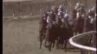 1986 Breeders' Cup Mile