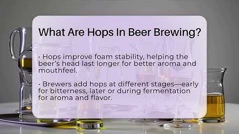 What Are Hops In Beer Brewing? - The Pint Guy