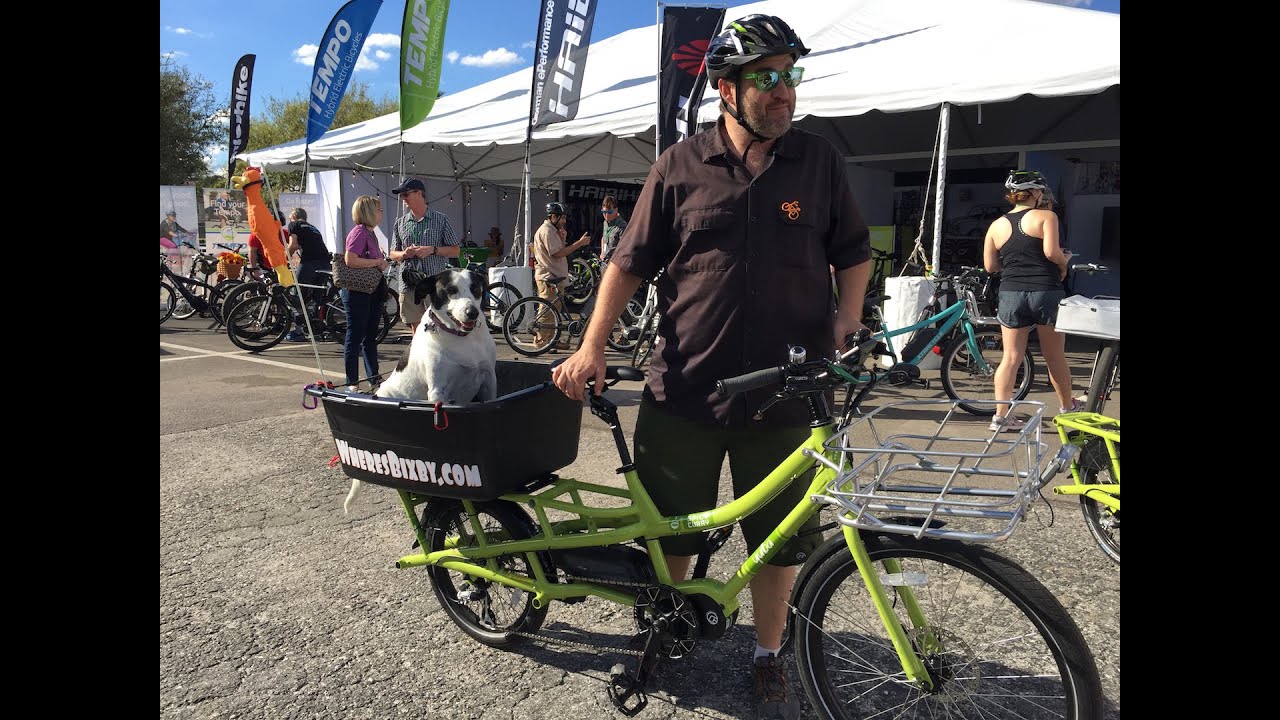 electric bike dog carrier