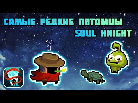 Видео: Как получить самых редких питомцев в игре soul knight