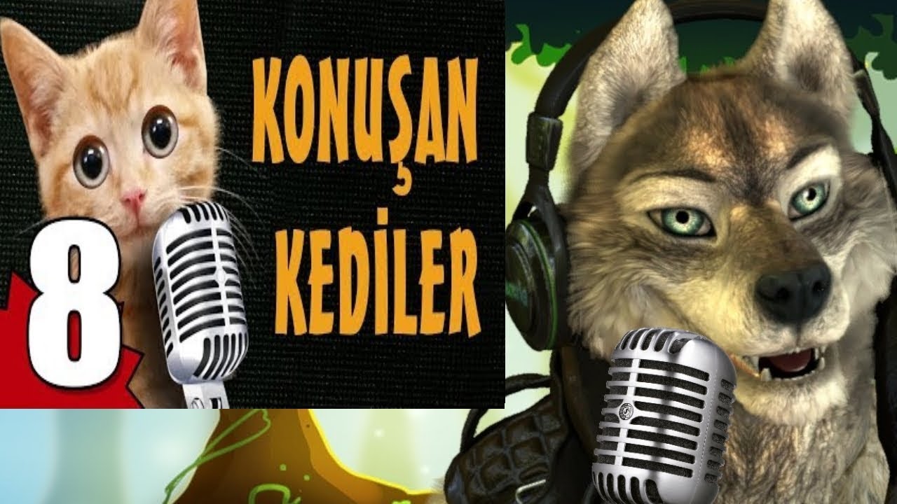 Konusan Kopek Konusan Kediler 8 Izliyor Youtube