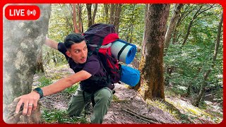 🔴Solo Bushcraft Survival Camping - 3 Hours Live