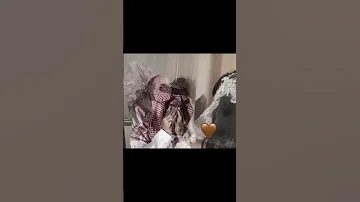 في محطة العمر ماكانت من ضمن اختياري بندر بن عوير 