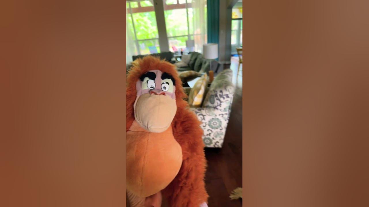Monkey doesn’t wear any pants YouTube Monkey doesn’t wear any pants YouTube