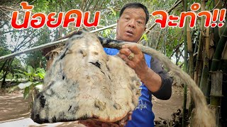 เมนูแปลก!! ฮังเลหางวัว สูตรครัวป่าไผ่ น้อยคนจะทำกิน ทำอาหารในป่า l SAN CE