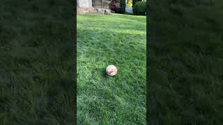 Was I far enough now #soccer #goal #im_discoturtle #twitch
