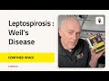 Leptospirosis Weil’s Disease | Confined Space