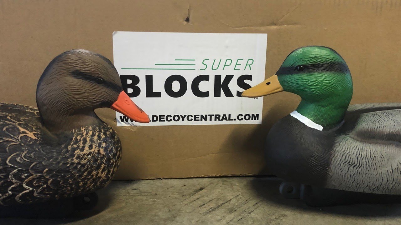 Super Blocks Decoy Review Most Affordable Decoys on the Market! YouTube