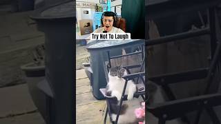 Try Not To Laugh Challenge - Part 36