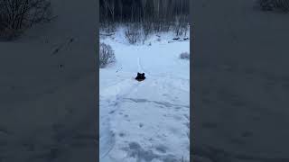 Ванек и его катание с горки