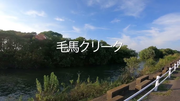 大阪 淀川 毛馬クリーク Youtube