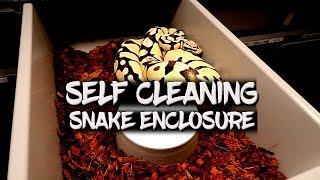 Self Cleaning Snake Enclosure!