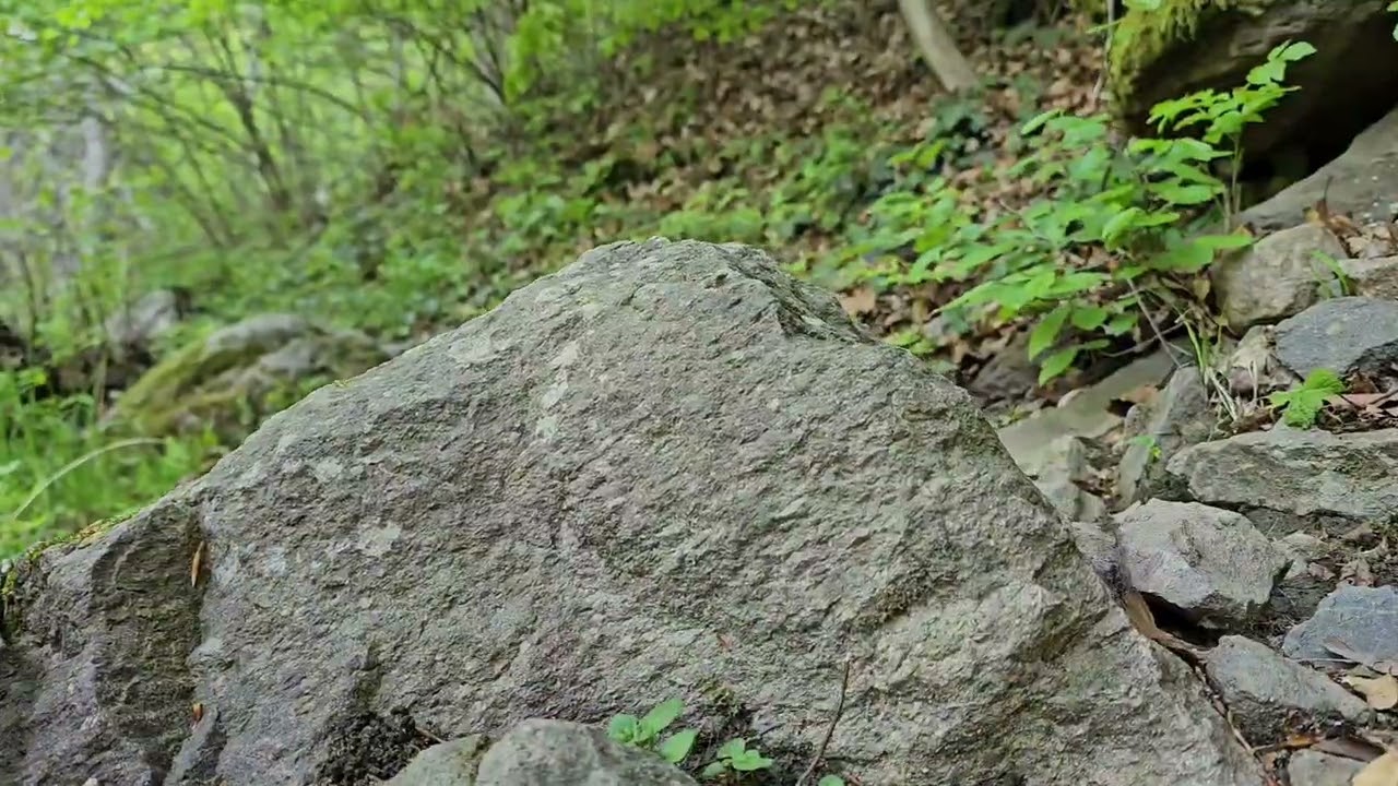Cascada Bobot, Pârâul Sfârdin, Mehadia, CS