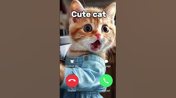 Cute cat #ringtone #nadaderingtelepon #smartphone #music #ringtones #cattune #funny #catphones #cat