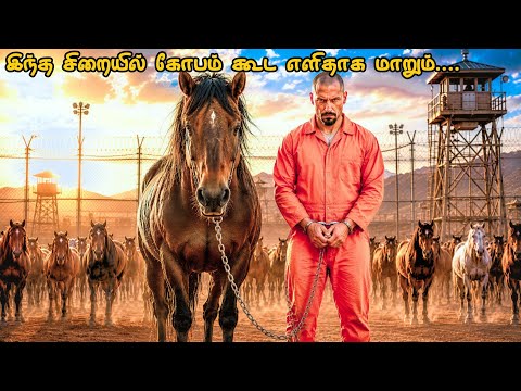 வாழ்க்கையில் மிஸ் பண்ணக்கூடாத படம்!!!/RG Expectation tamil/tamil voice over/Movie story 