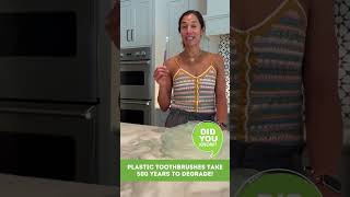 TRASH TALK: The Plastic Lifecycle