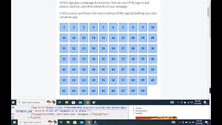 freecodecamp step 58 59 60 61 62 63 64 65 66 67 68 69