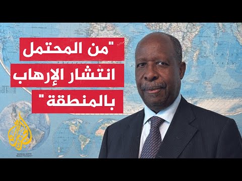 الممثل الأممي الخاص لغرب إفريقيا: توجد استعدادات لاستخدام القوة في النيجر إذا لزم الأمر