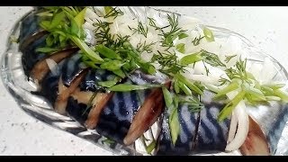 МАЛОСОЛЬНАЯ СКУМБРИЯ. СКУМБРИЯ СУХОГО ПОСОЛА. ПРОСТОЙ РЕЦЕПТ ЗАСОЛКИ РЫБЫ МАЛОСОЛЬНАЯ СКУМБРИЯ. СКУМБРИЯ СУХОГО ПОСОЛА. ПРОСТОЙ РЕЦЕПТ ЗАСОЛКИ РЫБЫ