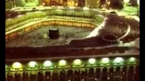 ((وانذر الناس يوم ياتيهم العذاب فيقول الذين ظلموا ربنا أخرنا إلى اجل قريب))-{{تلاوة خاشعة}}-