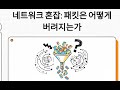 혼잡 회피 기법 (Tail Drop, RED, WRED)