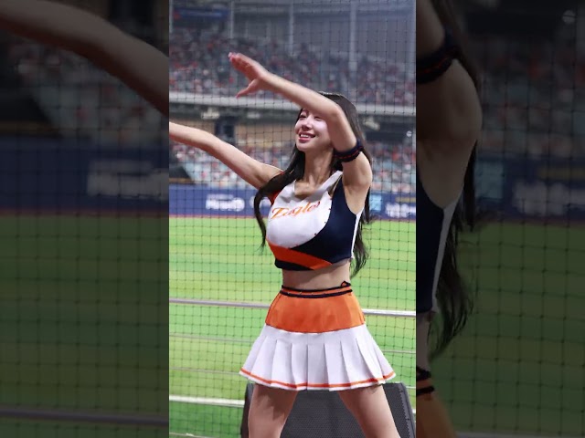 한화이글스 야구장 우수한 치어리더 응원 직캠 영상
