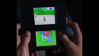 Moat skip , but i do it from the start of the game [SMB64DS]